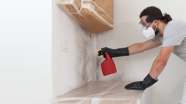 Professional Attic Mold Removal technician working in Riverton, NJ
