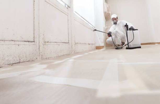 24/7 Emergency Attic Mold Removal experts in Riverton, NJ