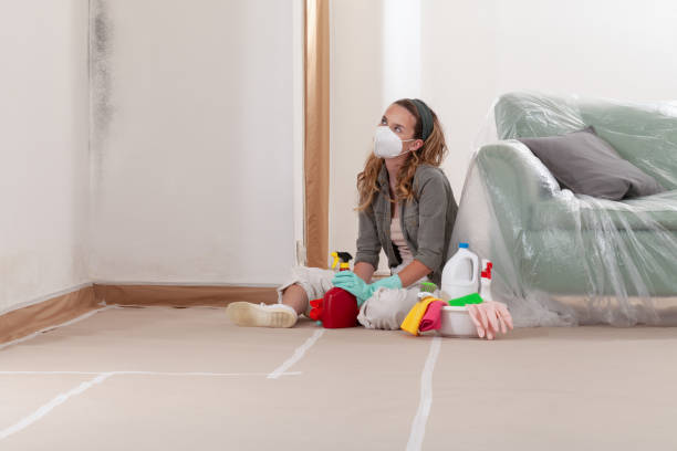 Reliable Attic Mold Removal contractor in Riverton, NJ by WQB Mold Removal