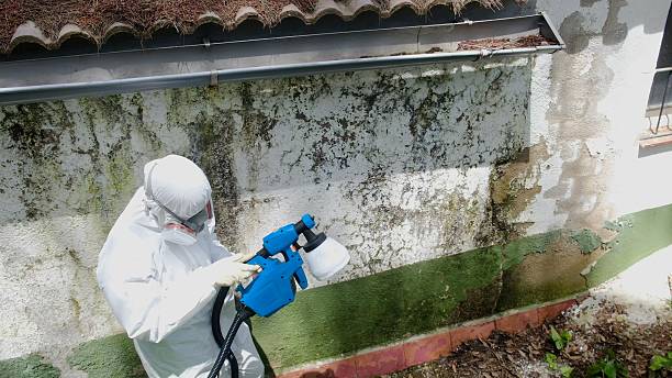 Top rated local Attic Mold Removal specialists in Riverton, NJ